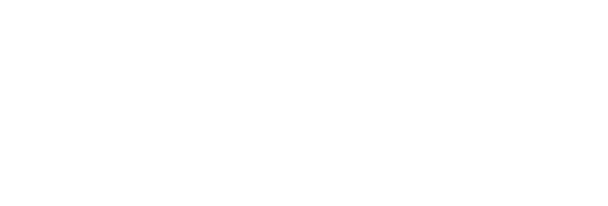 BIDODI